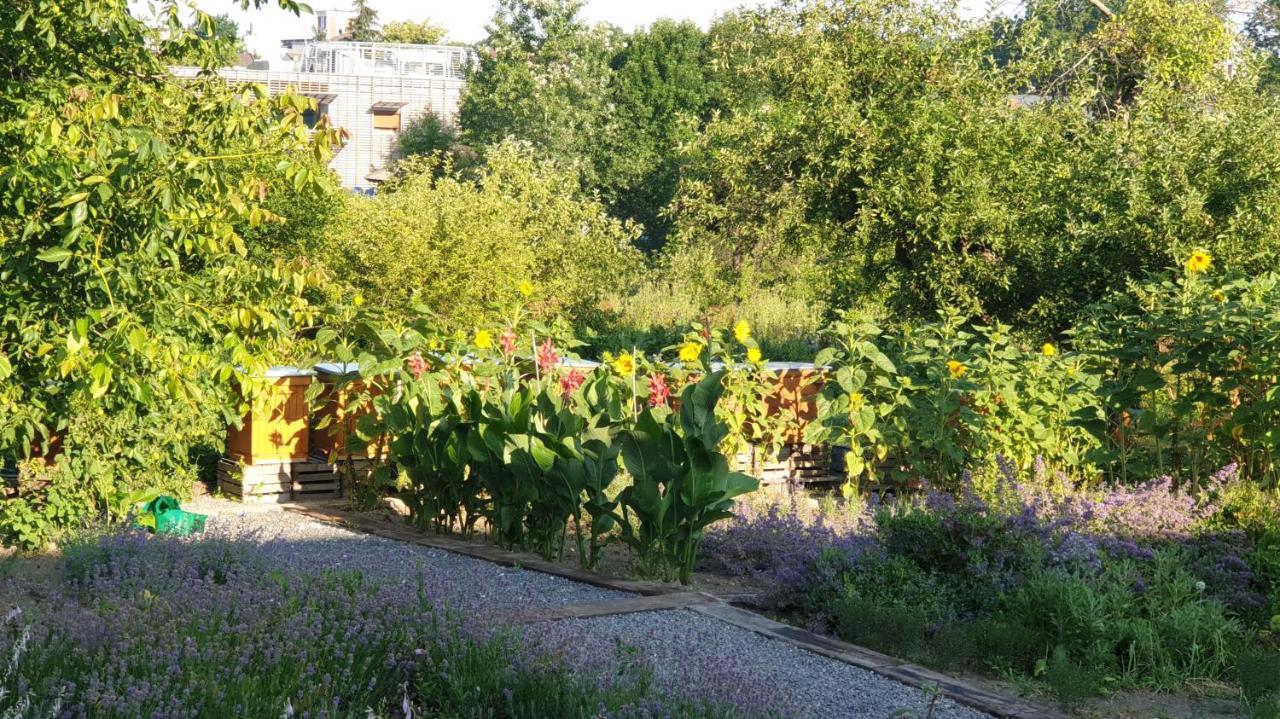 Agroturystyka U Joli Pacanow Εξωτερικό φωτογραφία